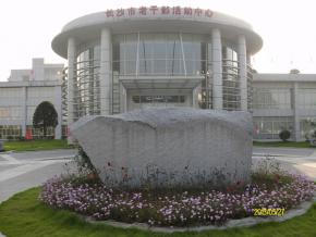 長沙老干部活動中心PVC地膠工程封面