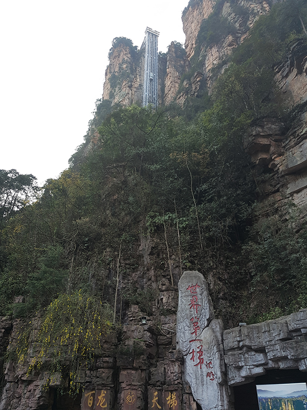 九瑞PVC地板在天龍電梯