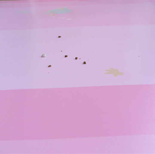 PVC塑膠地板品牌九瑞