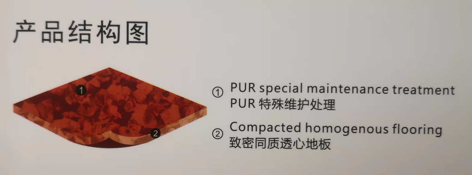 同質透心結構圖.jpg