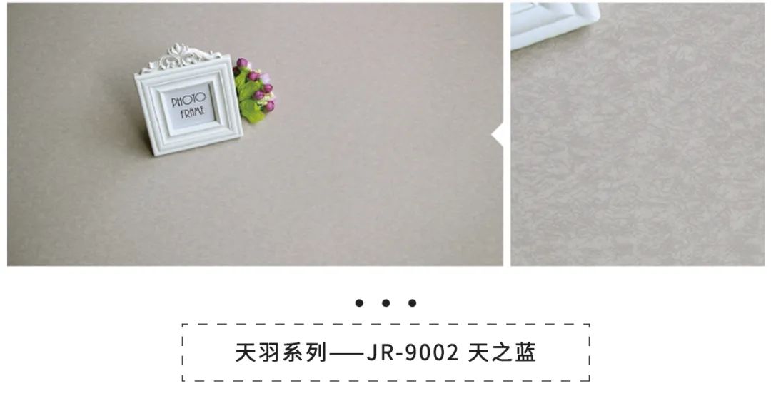 九瑞天羽系列.jpg