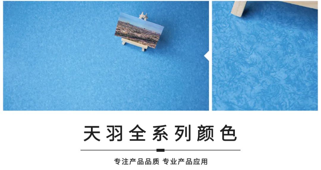 九瑞天羽系列.jpg