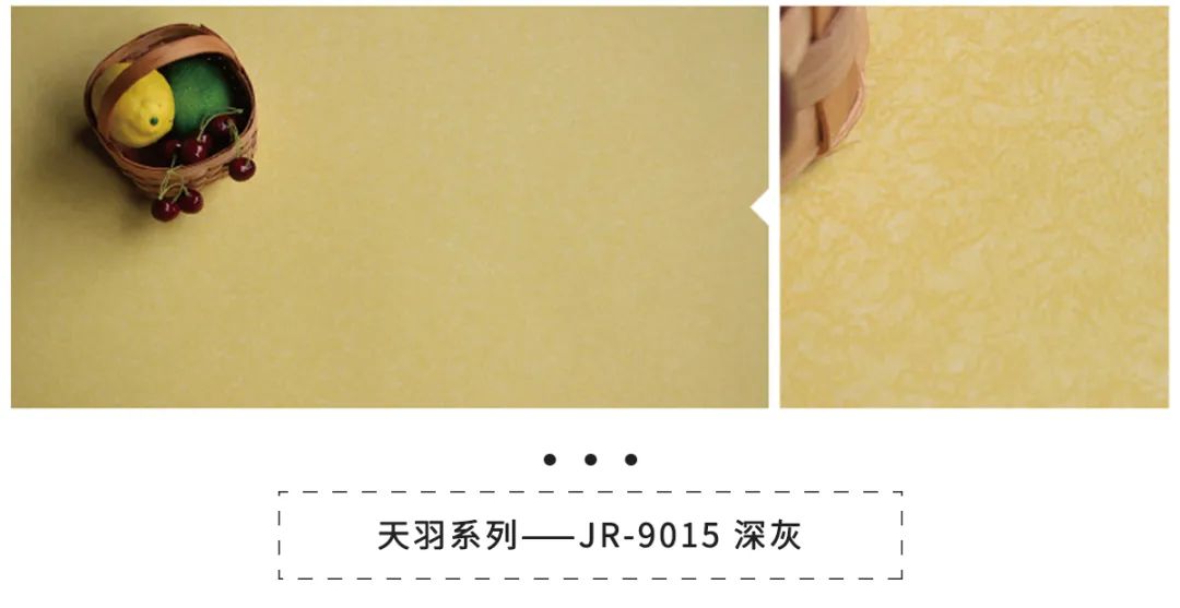 九瑞天羽系列.jpg